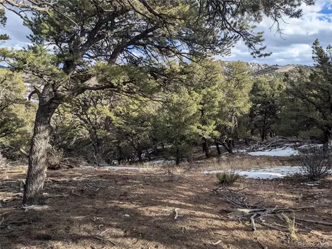 7831 Mallott Rd, Fort Garland, CO 81133