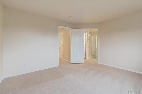 3851 E 138th Pl, Thornton, CO 80602 photo 15