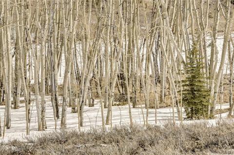 1440 Windmill Dr, Hartsel, CO 80449 photo 4