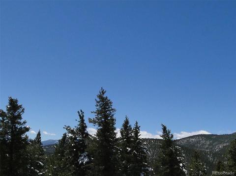 600 Forest Dr, Bailey, CO 80421 photo 6