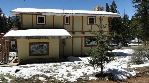 600 Forest Dr, Bailey, CO 80421 photo 3