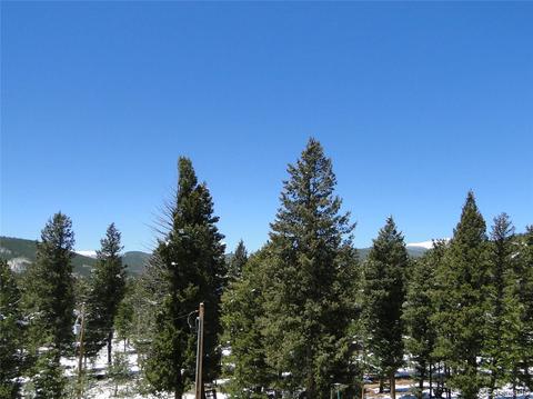 600 Forest Dr, Bailey, CO 80421 photo 5