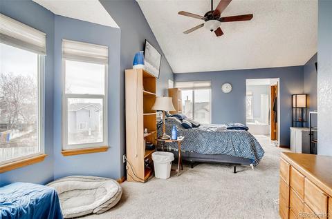 4227 E 130th Dr, Thornton, CO 80241 photo 17