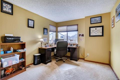4227 E 130th Dr, Thornton, CO 80241 photo 21