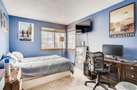 4227 E 130th Dr, Thornton, CO 80241 photo 22