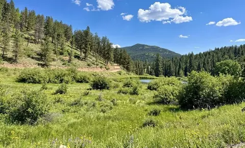 View/Area - 12447 S Danny Ave, Pine, CO 80470 photo 3 of 3