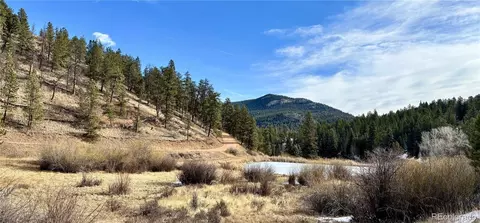 View/Area - 12447 S Danny Ave, Pine, CO 80470 photo 2 of 3