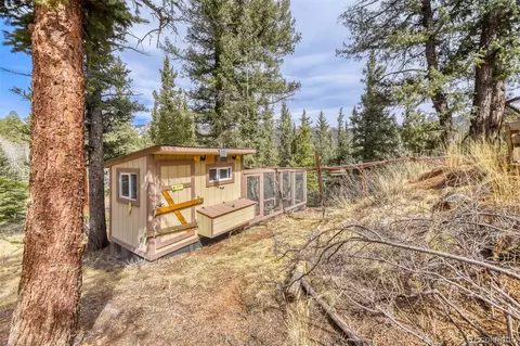 Exterior - 12447 S Danny Ave, Pine, CO 80470 photo 3 of 4