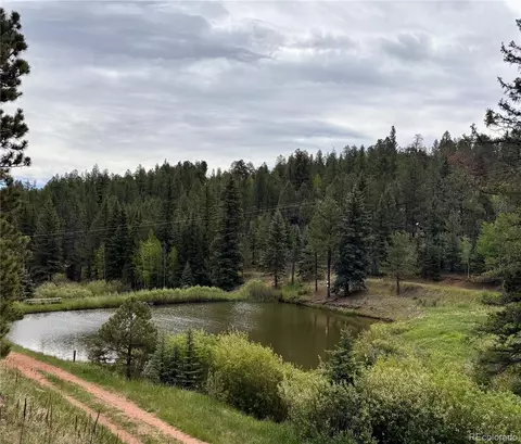 View/Area - 12447 S Danny Ave, Pine, CO 80470 photo 4 of 4