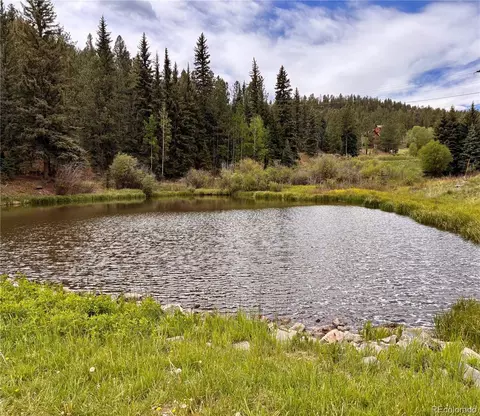 View/Area - 12447 S Danny Ave, Pine, CO 80470 photo 3 of 4