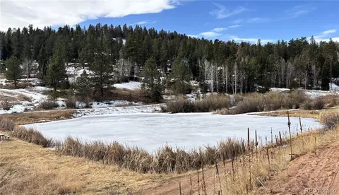 View/Area - 12447 S Danny Ave, Pine, CO 80470 photo 1 of 3