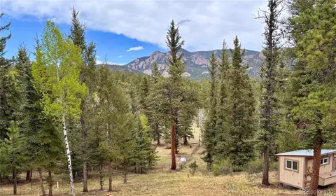 Other - 12447 S Danny Ave, Pine, CO 80470 photo 8 of 13