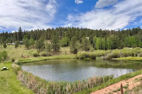 View/Area - 12447 S Danny Ave, Pine, CO 80470 photo 2 of 4