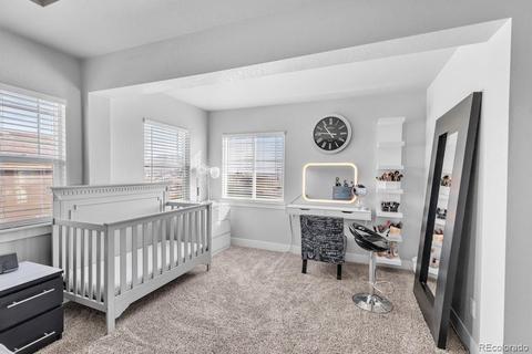 8330 E 124th Pl, Thornton, CO 80602 photo 23