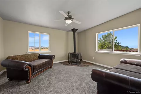 Living - 141 Hiawatha Cir, Hartsel, CO 80449 photo 4 of 9