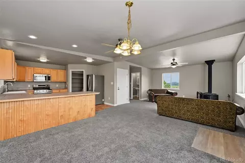 Living - 141 Hiawatha Cir, Hartsel, CO 80449 photo 2 of 9