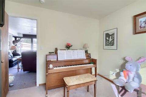 25 Derringer Ct, Bailey, CO 80421 photo 20