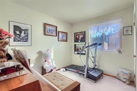 25 Derringer Ct, Bailey, CO 80421 photo 19