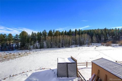 25 Derringer Ct, Bailey, CO 80421 photo 39