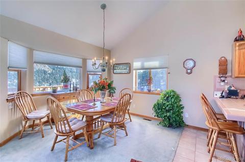 25 Derringer Ct, Bailey, CO 80421 photo 11