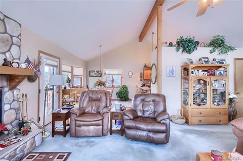 25 Derringer Ct, Bailey, CO 80421 photo 10