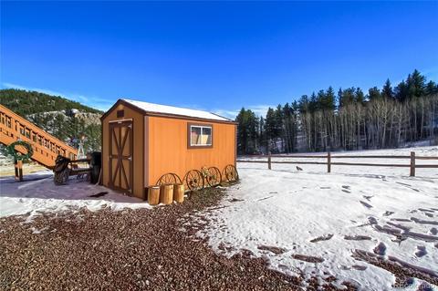 25 Derringer Ct, Bailey, CO 80421 photo 38