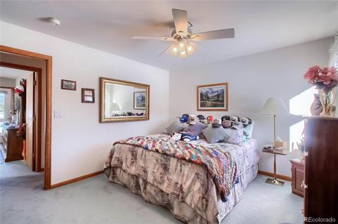 25 Derringer Ct, Bailey, CO 80421 photo 23