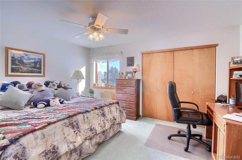 25 Derringer Ct, Bailey, CO 80421 photo 21