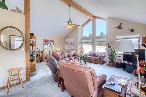 25 Derringer Ct, Bailey, CO 80421 photo 7
