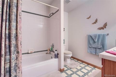 25 Derringer Ct, Bailey, CO 80421 photo 25