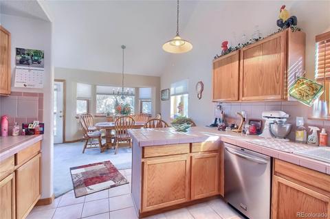 25 Derringer Ct, Bailey, CO 80421 photo 12