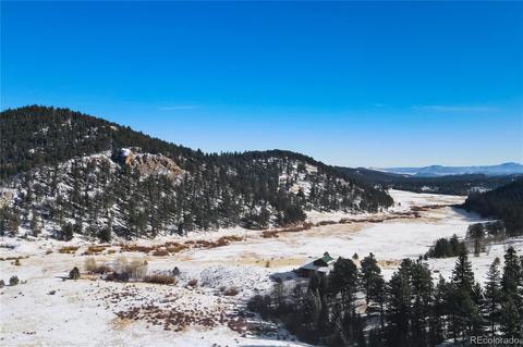 25 Derringer Ct, Bailey, CO 80421 photo 5