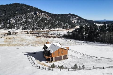 25 Derringer Ct, Bailey, CO 80421 photo 40