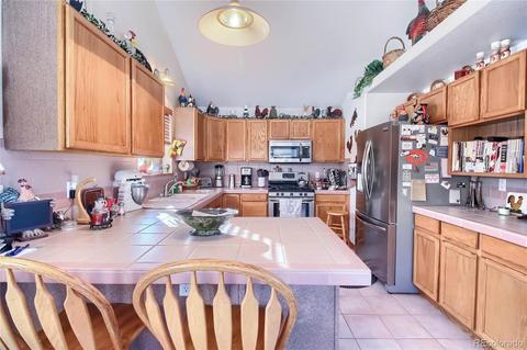 25 Derringer Ct, Bailey, CO 80421 photo 14