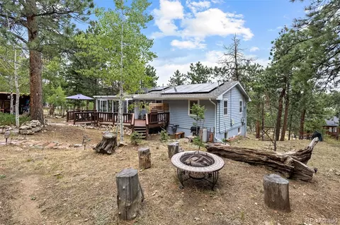 Exterior - 41 Yew Ln, Bailey, CO 80421 photo 14 of 20