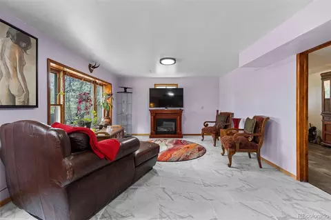Other - 41 Yew Ln, Bailey, CO 80421 photo 6 of 7