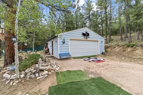 Exterior - 41 Yew Ln, Bailey, CO 80421 photo 12 of 20