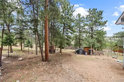 Exterior - 41 Yew Ln, Bailey, CO 80421 photo 17 of 20