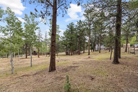 Exterior - 41 Yew Ln, Bailey, CO 80421 photo 10 of 20