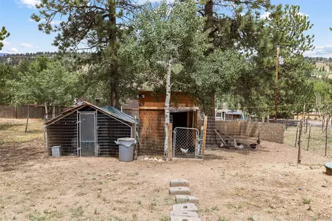 Exterior - 41 Yew Ln, Bailey, CO 80421 photo 18 of 20