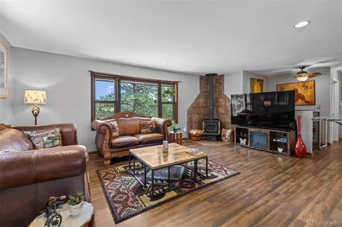 Living - 41 Yew Ln, Bailey, CO 80421 photo 1 of 2