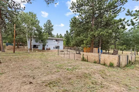Exterior - 41 Yew Ln, Bailey, CO 80421 photo 7 of 20