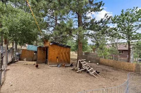 Exterior - 41 Yew Ln, Bailey, CO 80421 photo 6 of 20