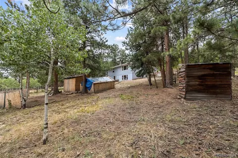 Exterior - 41 Yew Ln, Bailey, CO 80421 photo 8 of 20