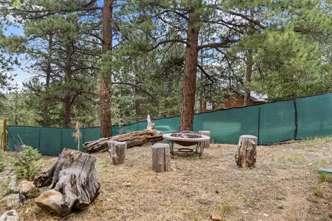 Exterior - 41 Yew Ln, Bailey, CO 80421 photo 13 of 20
