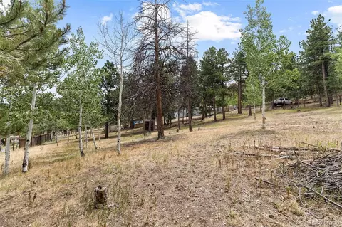 Exterior - 41 Yew Ln, Bailey, CO 80421 photo 9 of 20