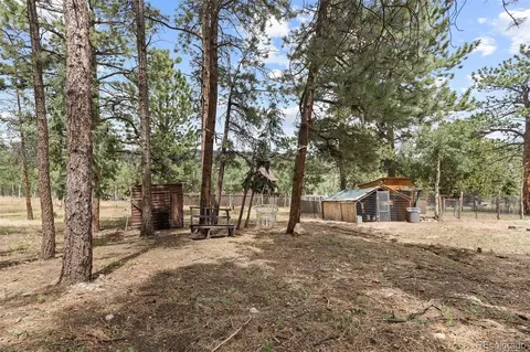 Exterior - 41 Yew Ln, Bailey, CO 80421 photo 19 of 20