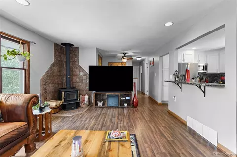 Living - 41 Yew Ln, Bailey, CO 80421 photo 2 of 2