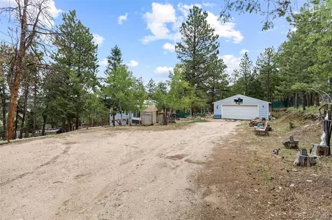 Exterior - 41 Yew Ln, Bailey, CO 80421 photo 15 of 20