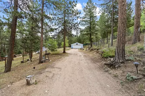 Exterior - 41 Yew Ln, Bailey, CO 80421 photo 16 of 20